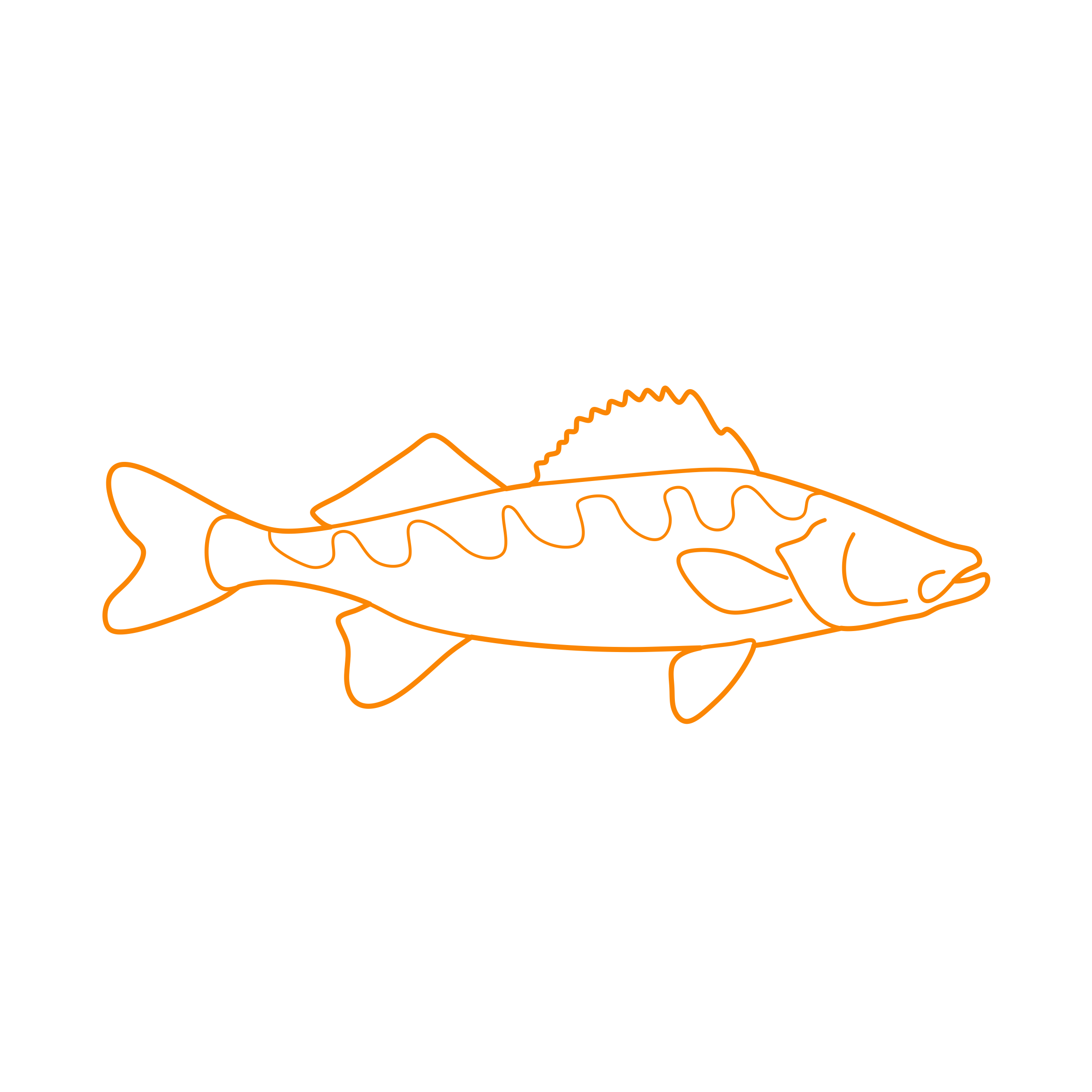 Animals Freshwater Fish Walleye Blueprint Style Svg Vector Free Vectors